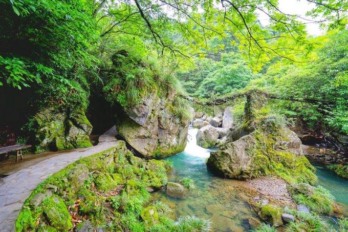甜蜜糖果岛